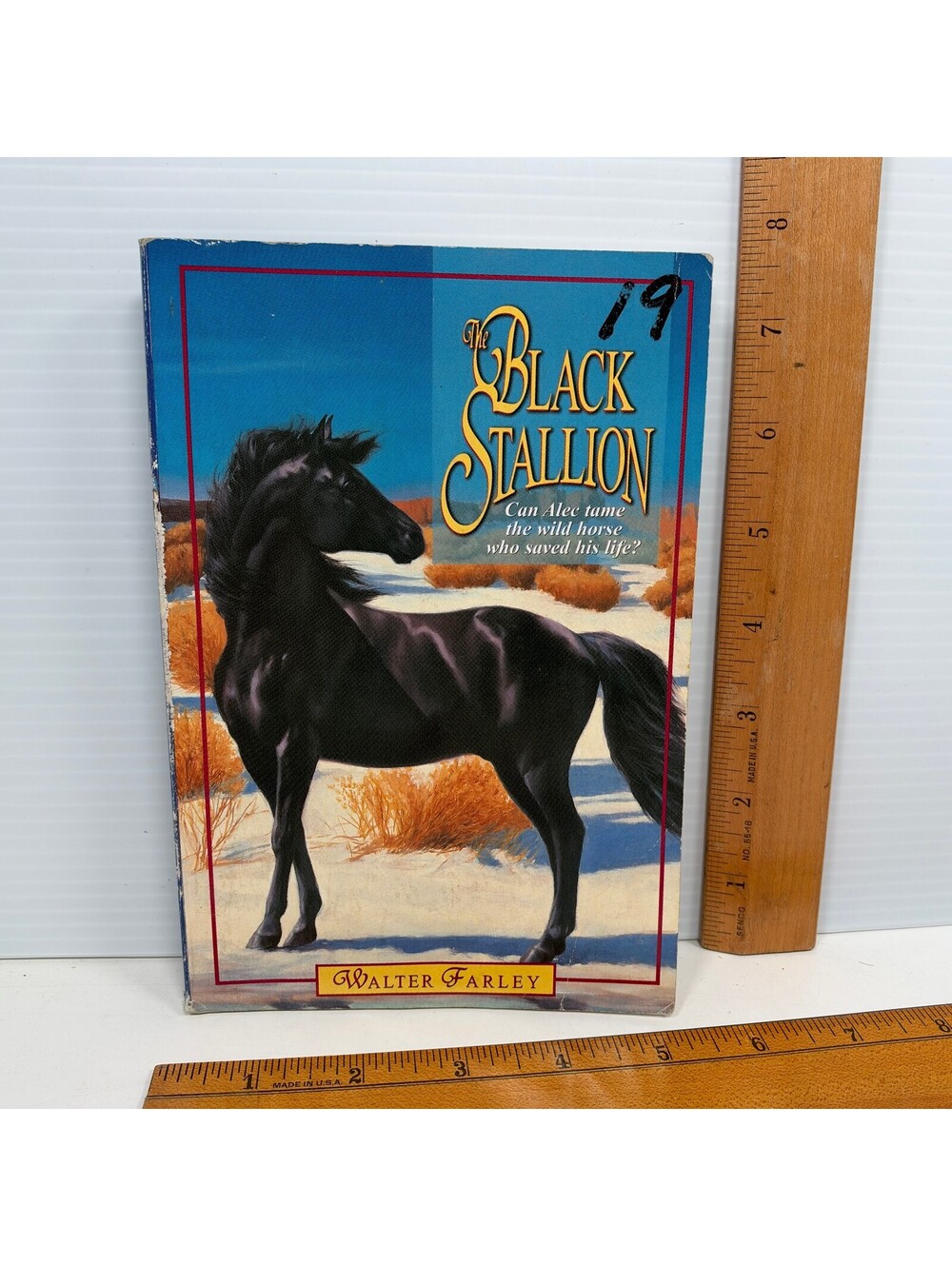 The Black Stallion Walter Farley Harcourt Paperback Book Classic Novel